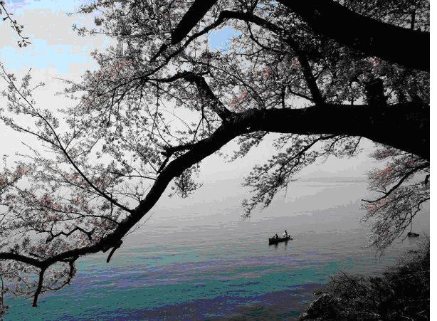 Alicia Rana Alya, Temukan Hidayah di Negeri Sakura