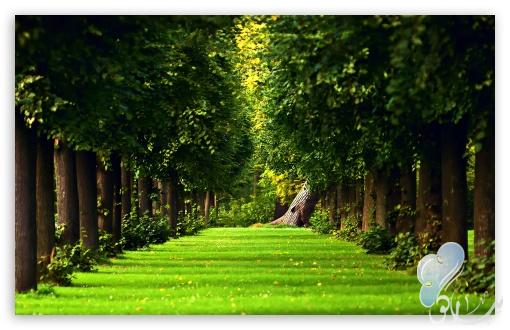 Akhir Perjalanan Mencari Tuhan Jennifer A. Bell