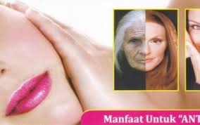 Apakah Ada Obat Anti Penuaan ?