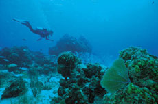 Jefferson Pinder, Menyelami Samudera Islam di Tengah Arus Budaya Amerika