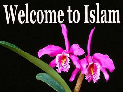 Cukuplah Islam Menjadi Dien