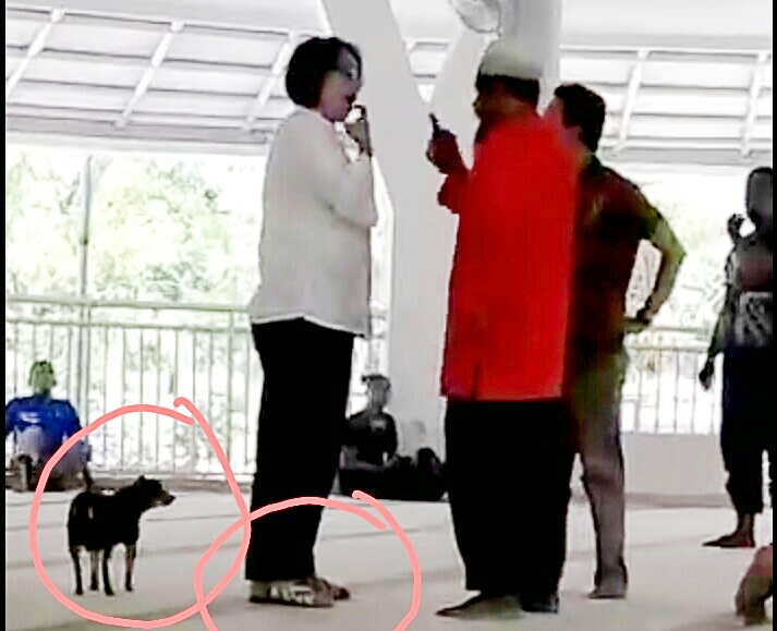 Ketua LBH Pelita Umat: Rasa Keberagamaan Umat Islam Terganggu!