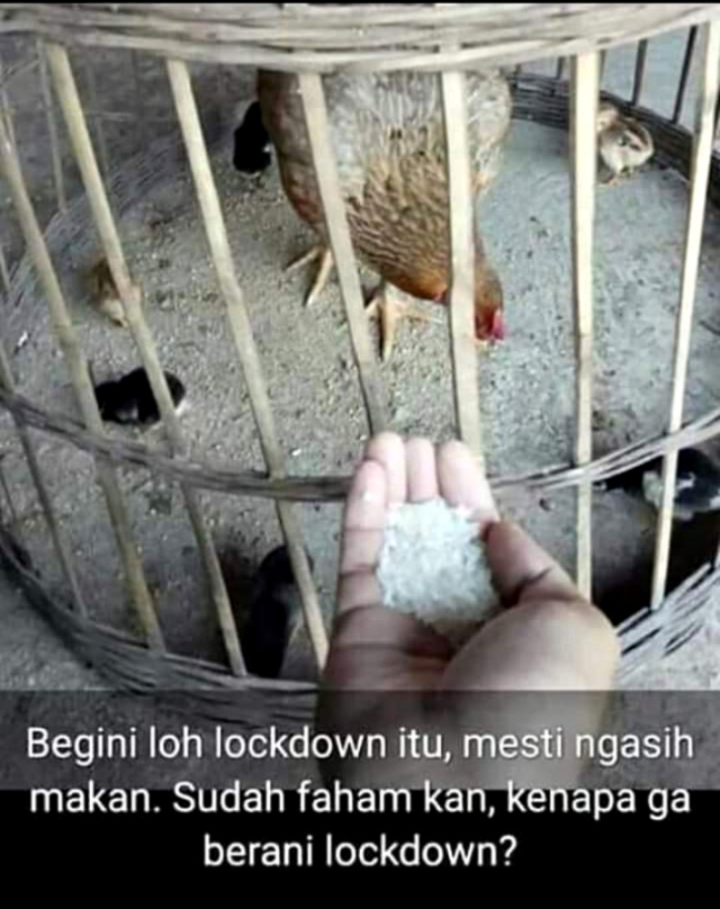 Logika Sederhana Kenapa Pemerintah Ogah Lockdown