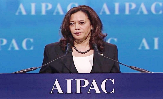 Kamala Harris Gantikan Biden di Pilpres AS, Shamsi Ali Ungkap Pandangan Komunitas Muslim Amerika