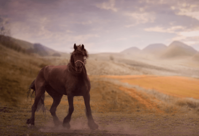 Bukti Malaikat Ikut Maju Perang Badar