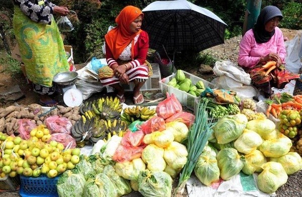 Negeri Asing Itu Bernama Kulon Progo
