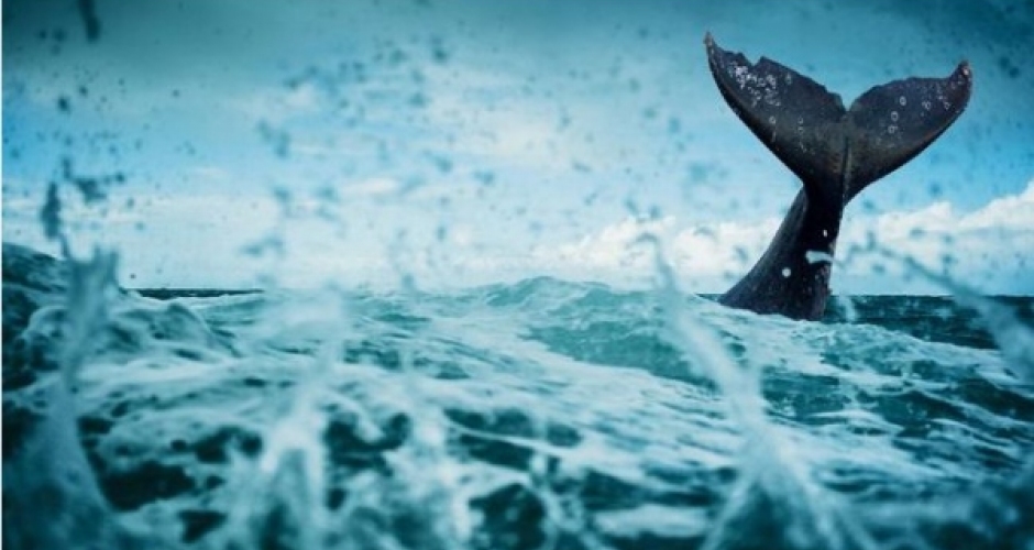 Corona dan Doa Nabi Yunus