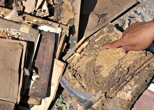 Pasukan Rayap yang Memakan Kertas Surat, Hanya Tersisa Kata “Allah”