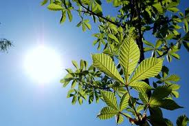 Usang Sudah Nyanyian