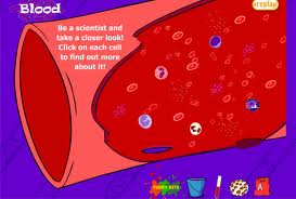 Tahukah Kenapa Islam Melarang Makan/Minum Darah?