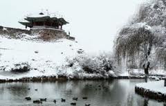 Muslim Indonesia di Korea Selatan Lawan Suhu Minus 16 Celcius untuk Beribadah