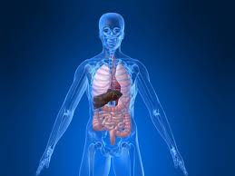 Berkaca dari Struktur DNA Kita