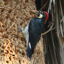 Selektiflah Memilih Kawan