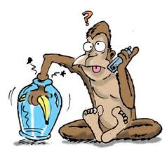 Monyet dan Genggamannya