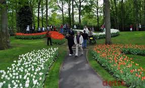 Ali Ra : Ini Berita dari Kami, Mana Berita darimu ?