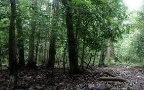 Mukjizat Allah yang Mencengangkan Para Ilmuwan Barat