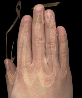 Alur Jari Menandakan Siapa Penciptanya