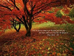 Jangan Pelihara Kebencian, Niscaya Engkau Bahagia