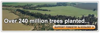 Yahudi Budidayakan Pohon Ghorqod - inilah Spesifikasinya , Lanjutan 