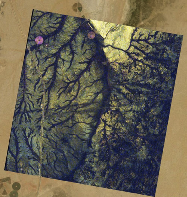 Fakta Buktikan Sabda Nabi Muhammad SAW : Akhir Zaman, Tanah Arab Kembali dipenuhi Tumbuhan dan Banyak Sungai 