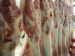 daging kambing