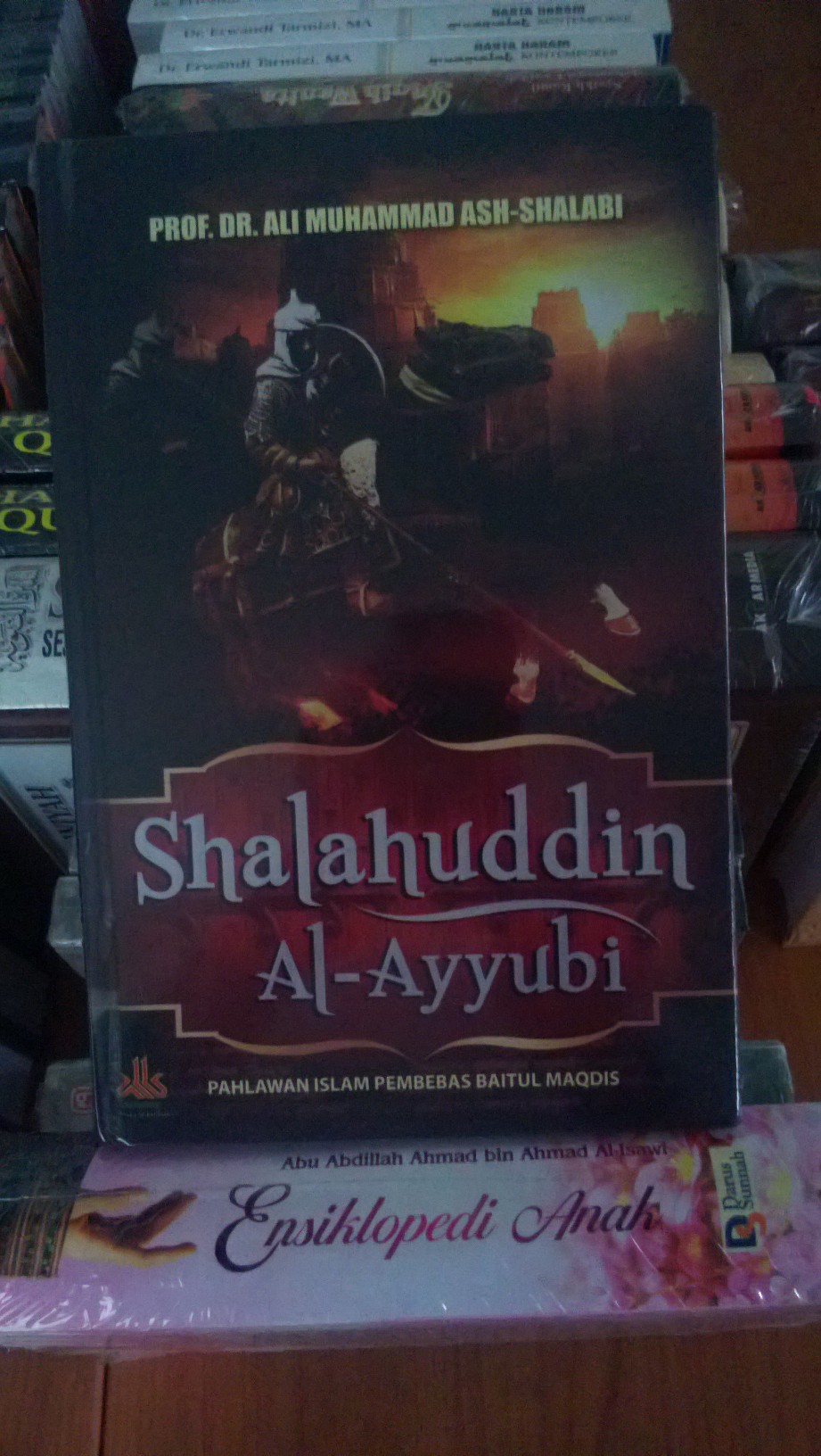 Resensi buku : Pembebas Al Aqsha - Sholahuddin Al Ayyubi