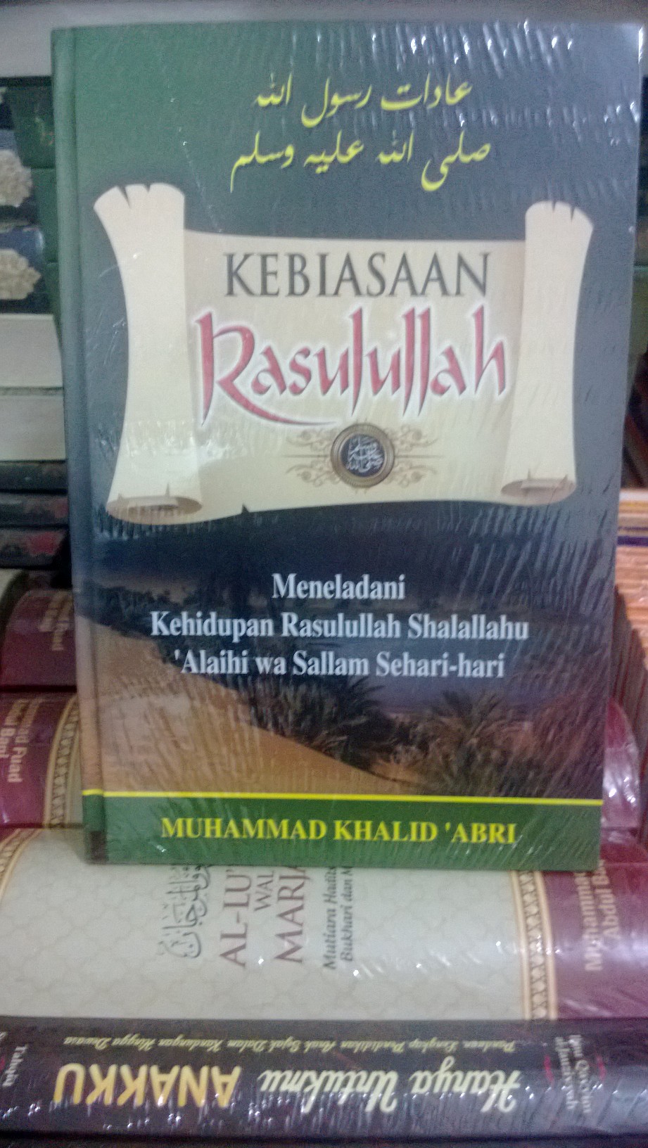 Resensi Buku : Kebiasaan Rasulullah Sehari-hari, Sunnah Nabi yang Harus dicontoh