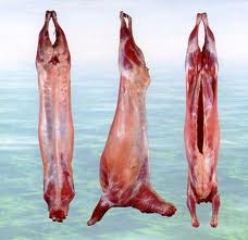 Kontes Daging Segar !