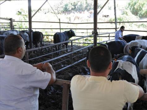 Dua Hal yang Tak Boleh Dilakukan Orang Yang Berqurban