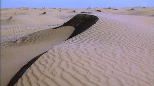 5 Orang Meninggal Dan Belasan Lainya Dinyatakan Hilang, Setelah Tersesat di Gurun Pasir Sahara Afrika