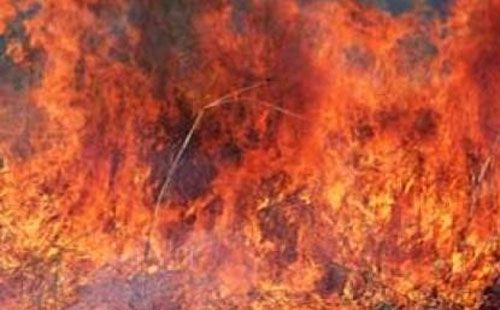 Si Jago Merah Lalap Pangkalan Militer Israel