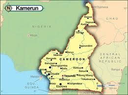 Perkembangan Islam di Kamerun : Pesatnya Jumlah Mualaf dan Masjid