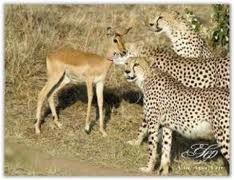 Semuanya adalah Anugerah   