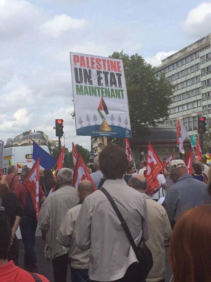 Solidarity With Gaza Around The World Perancis 4