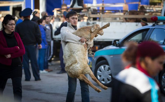 Qurban Terbaik