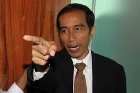 Jokowi, Hebohisme, dan Ironi-ironi