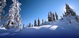 Dibalik Kelembutan Salju