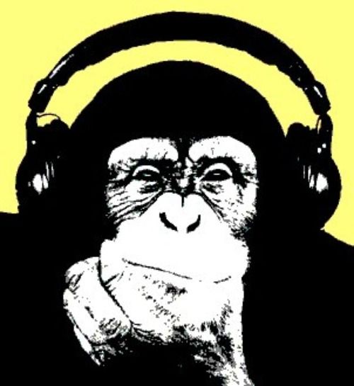 Monkey Business, Sebuah Renungan