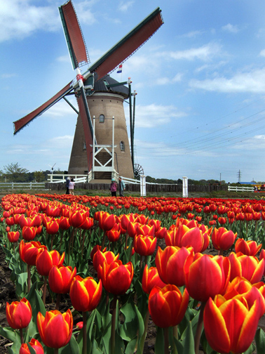 "Belanda" Itu Artinya "Memecah-Belah Keluarga"