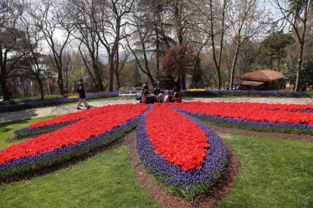 festival bunga tulip-1