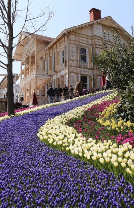 Menilik Keindahan Festival 30 Juta Bunga Tulip Di Turki