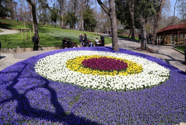 festival bunga tulip-2