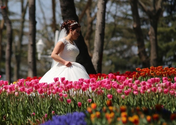 festival bunga tulip-6