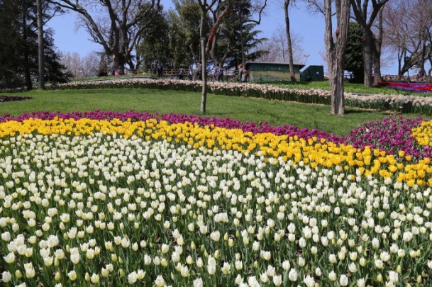 festival bunga tulip-7