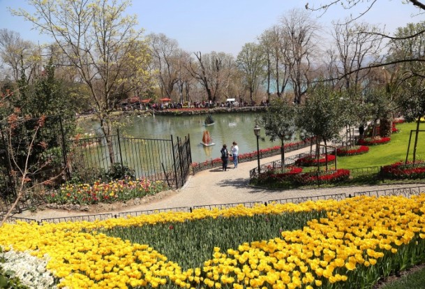 festival bunga tulip-8