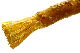 Lima Amalan Sunnah Sebelum Shalat