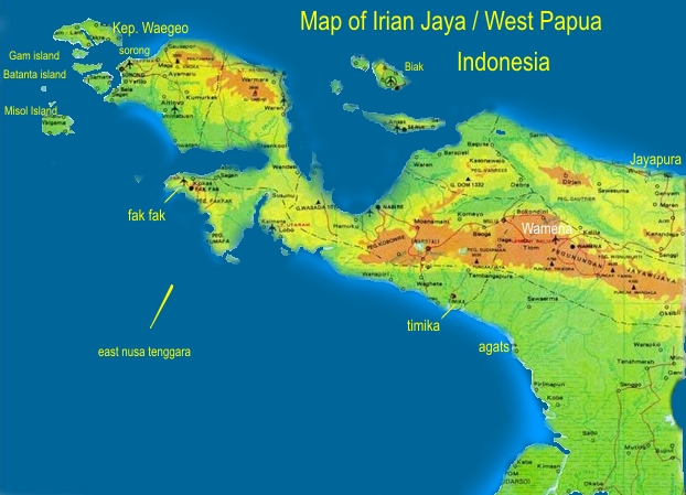 Umat Islam Jangan Terpancing Anarkis!