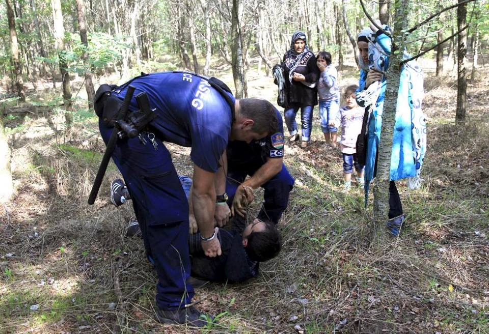 pengungsi Suriah-hungaria 4