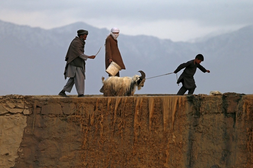 Idul Adha 1436 H - Afghanistan