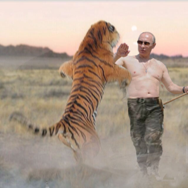 vladimir-putin-fights-tiger-saves-family-at-kruger-park2